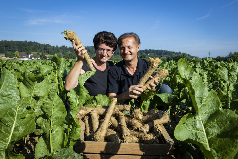 Ursula und Franz Tappauf sind leidenschaftliche Krenbauern..jpg