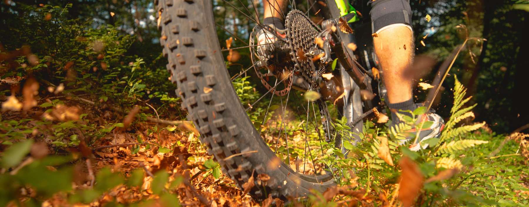 Titelfoto-min.jpg © adobe.stock.com Titelfoto-min.jpg © adobe.stock.com