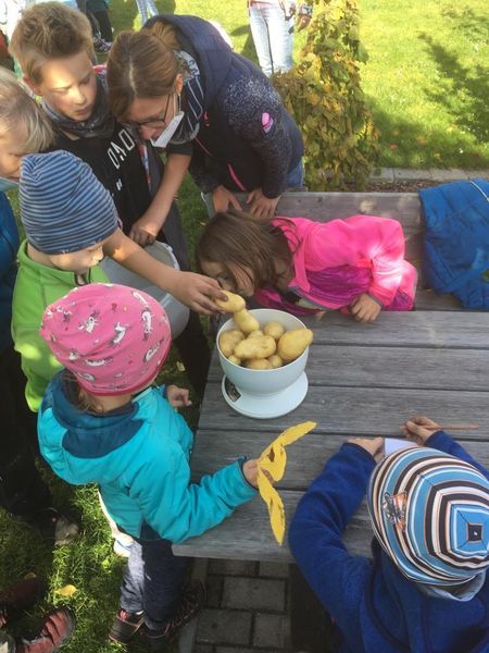 IMG-20211021-WA0014.jpg IMG-20211021-WA0014.jpg