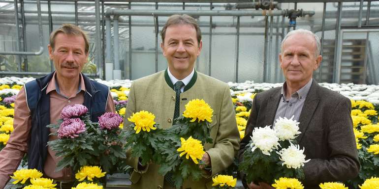 Allerheiligen mit Blumen heimischer Gärtner.jpg © Kaiser/LK Burgenland Allerheiligen mit Blumen heimischer Gärtner.jpg © Kaiser/LK Burgenland