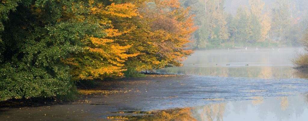 Jägerteich im Waldviertel