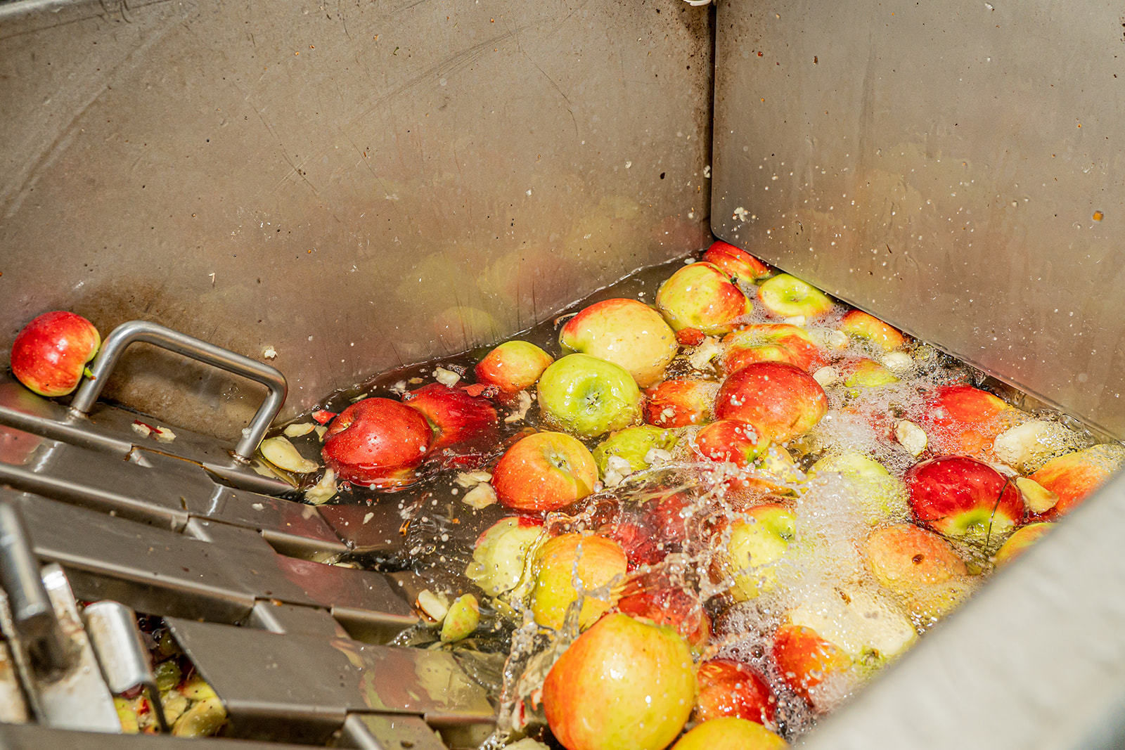 © Georg Pomassl/LK Niederösterreich © Georg Pomassl/LK Niederösterreich