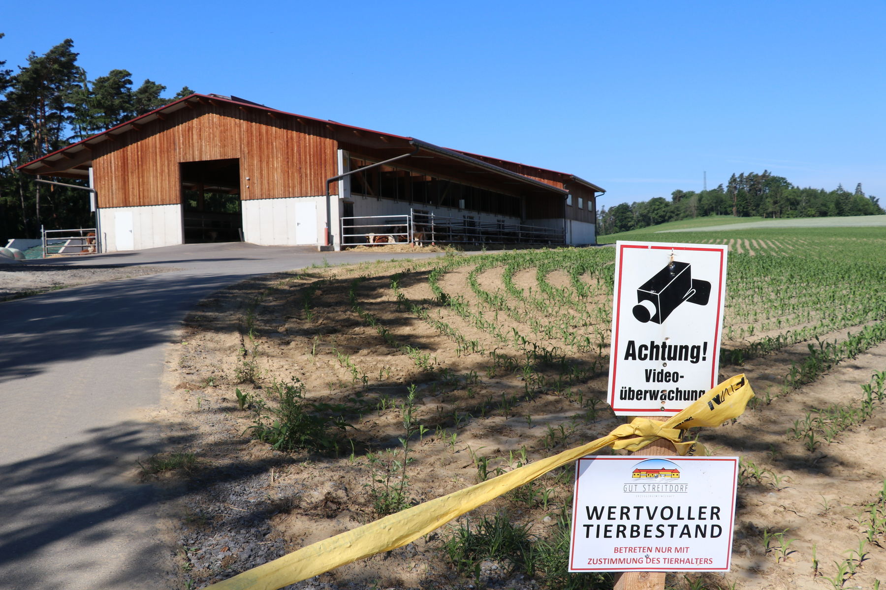 Rindermaststall mit Auslauf und Strohliegeflächen © Paula Pöchlauer-Kozel Rindermaststall mit Auslauf und Strohliegeflächen © Paula Pöchlauer-Kozel