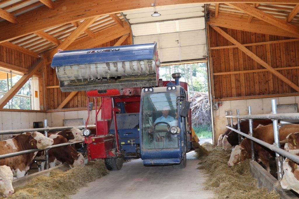 Fotoreportage im Rinderstall von Familie Kronsteiner aus Emmersdorf © Paula Pöchlauer-Kozel/LK Niederösterreich Fotoreportage im Rinderstall von Familie Kronsteiner aus Emmersdorf © Paula Pöchlauer-Kozel/LK Niederösterreich