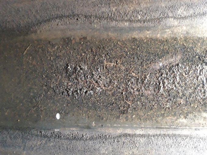 Landmaschinen und Geräte richtig einwintern und pflegen © Reinhard Hörmansdorfer/LK Niederösterreich Landmaschinen und Geräte richtig einwintern und pflegen © Reinhard Hörmansdorfer/LK Niederösterreich