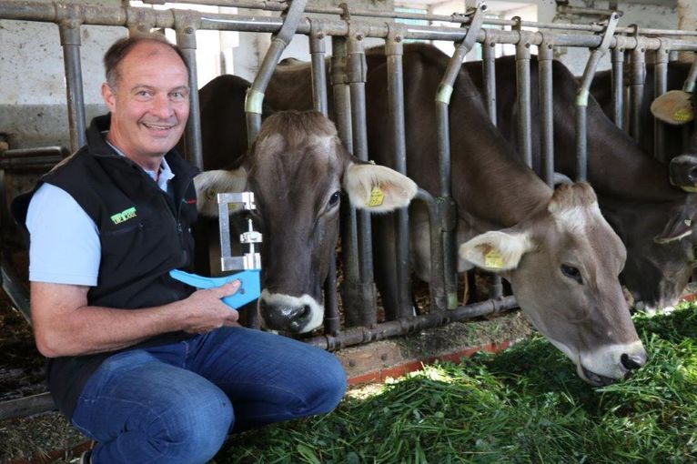 Mit der Vorrichtung, die Franz Jetzinger in der Hand hält, bringt er den Sensor oberhalb der Ohrmarke an.  © Paula Pöchlauer-Kozel/LK Niederösterreich