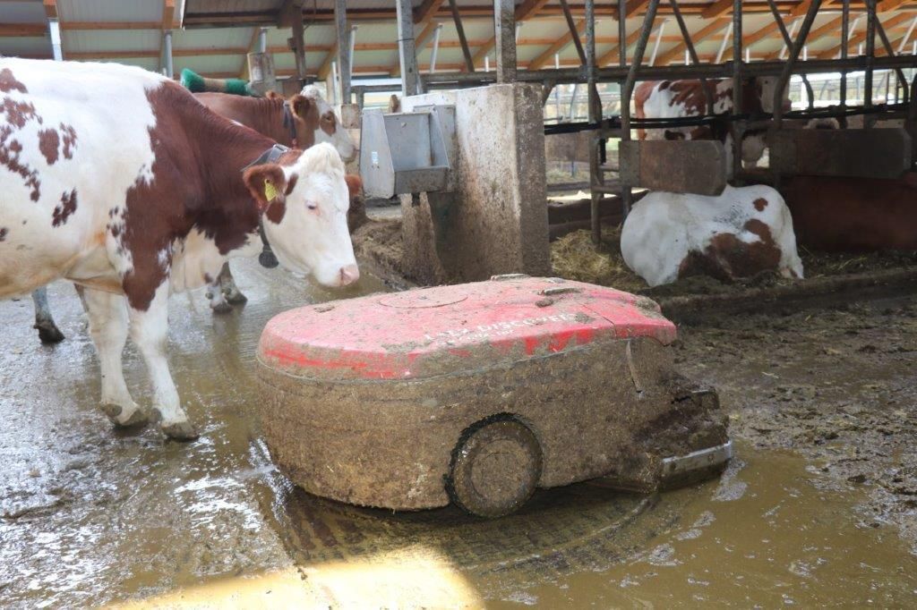 © Paula Pöchlauer-Kozel/LK Niederösterreich © Paula Pöchlauer-Kozel/LK Niederösterreich