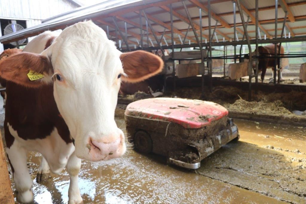 © Paula Pöchlauer-Kozel/LK Niederösterreich © Paula Pöchlauer-Kozel/LK Niederösterreich