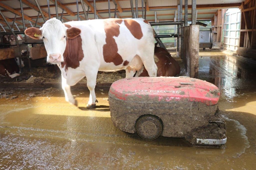 © Paula Pöchlauer-Kozel/LK Niederösterreich © Paula Pöchlauer-Kozel/LK Niederösterreich