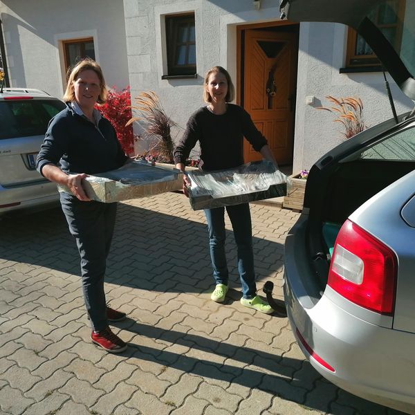 IMG 20211101 181959.jpg IMG 20211101 181959.jpg