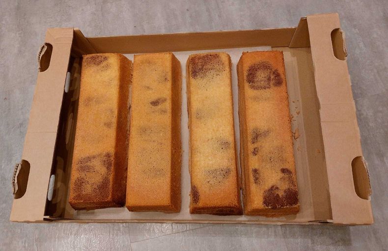 IMG-20211102-WA0014.jpg IMG-20211102-WA0014.jpg