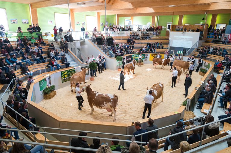 Steiermarkschau © Stephan Hauser Steiermarkschau © Stephan Hauser