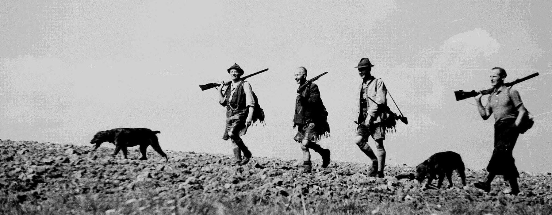 Auf der Pirsch.jpg © Standl Auf der Pirsch.jpg © Standl