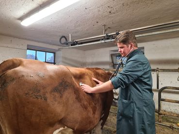 3_Tierarzt.jpg © Peter Leitgeb (KK)