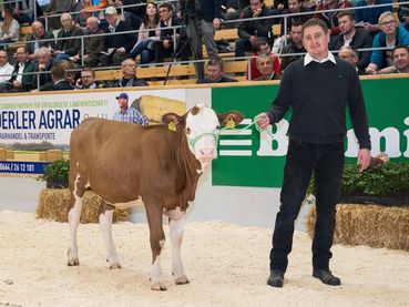 Eliteversteigerung © RZS/Baumann