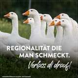 sharebilder_Gans.jpg © LK Niederösterreich