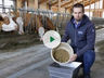 Aufmacher Videos Tierhaltung © LFIÖ/LKÖ/Arbeitskreis Milchproduktion