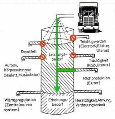 Nährstoffautobahn-min.jpg © kk Nährstoffautobahn-min.jpg © kk