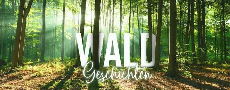 Waldgeschichten_MainSujet_web-1024x679-min.jpg © LKÖ Waldgeschichten_MainSujet_web-1024x679-min.jpg © LKÖ