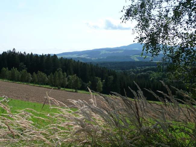 Landschaft Landschaft