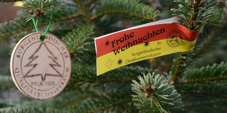 (c) kaiser lk burgenland - Christbaumschleife mit dem Logo des Vereines Burgenländischer Qualitätschristbaum.jpg (c) kaiser lk burgenland - Christbaumschleife mit dem Logo des Vereines Burgenländischer Qualitätschristbaum.jpg