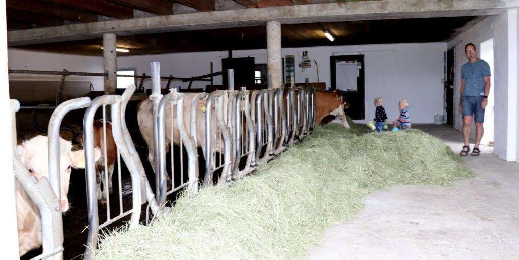 Am Biohof von Franz und Anita Jaschke setzt man auf das Qualitätsprogramm Qplus Rind © Paula Pöchlauer-Kozel/LK Niederösterreich Am Biohof von Franz und Anita Jaschke setzt man auf das Qualitätsprogramm Qplus Rind © Paula Pöchlauer-Kozel/LK Niederösterreich