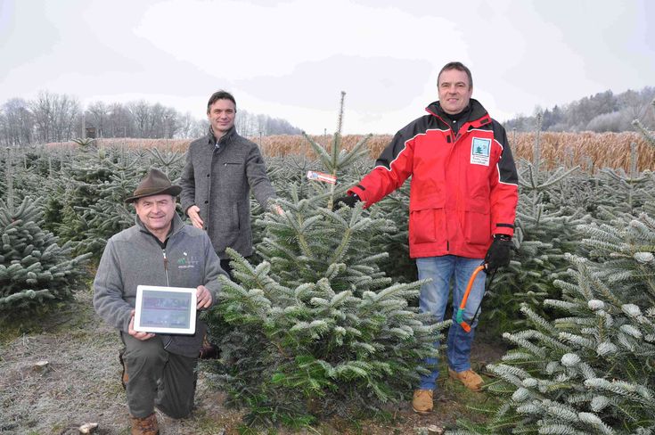 Christbaum 01.jpg Christbaum 01.jpg