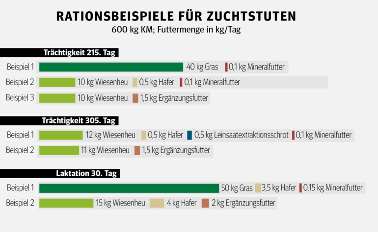 Der richtige  Speiseplan für  tragende Stuten .png © Pferdefütterung  von Coenen und Vervuert, Darstellung vereinfacht Der richtige  Speiseplan für  tragende Stuten .png © Pferdefütterung  von Coenen und Vervuert, Darstellung vereinfacht