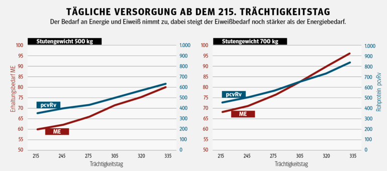 Der richtige  Speiseplan für  tragende Stuten .png © Pferdefütterung  von Coenen und Vervuert, Darstellung vereinfacht Der richtige  Speiseplan für  tragende Stuten .png © Pferdefütterung  von Coenen und Vervuert, Darstellung vereinfacht