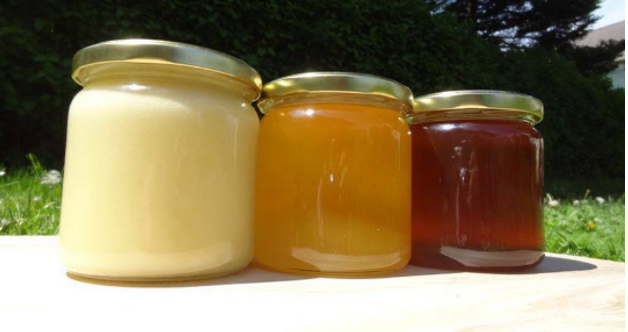 Bild 3- Regionale Honigspezialitäten- Creme-Honig, Blütenhonig, Waldhonig v.l.n.r.) © Bienenzentrum OÖ.png