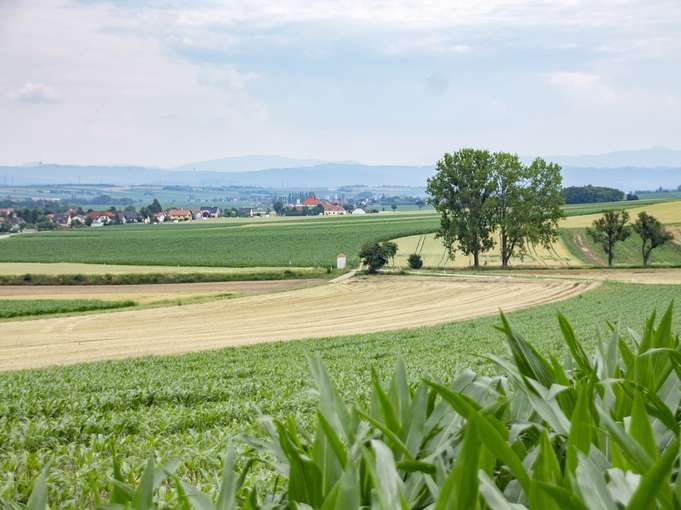 Landwirtschaftliche Flächen