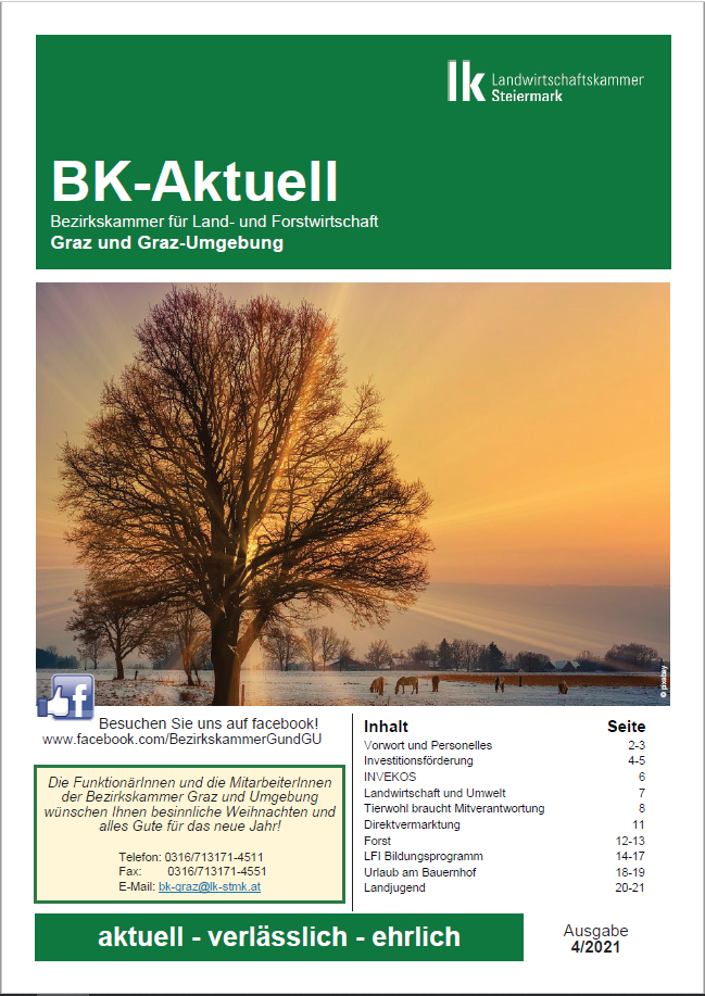 BK-Aktuell 4. Ausgabe