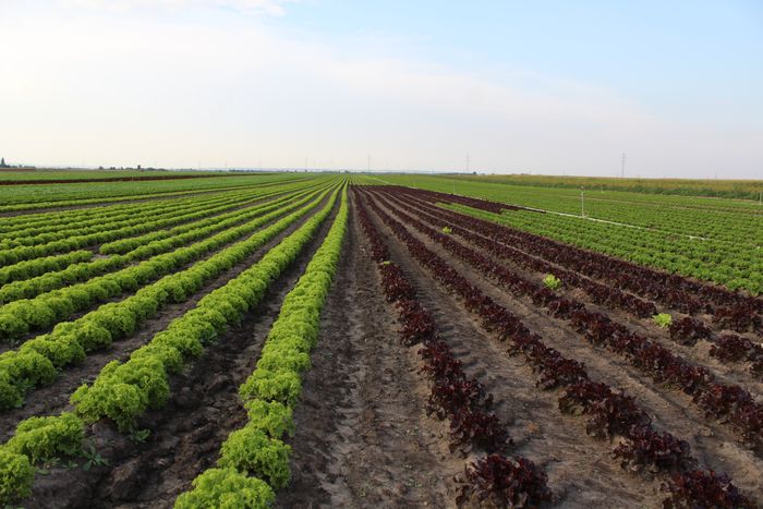 [163836532986873_1.jpg]