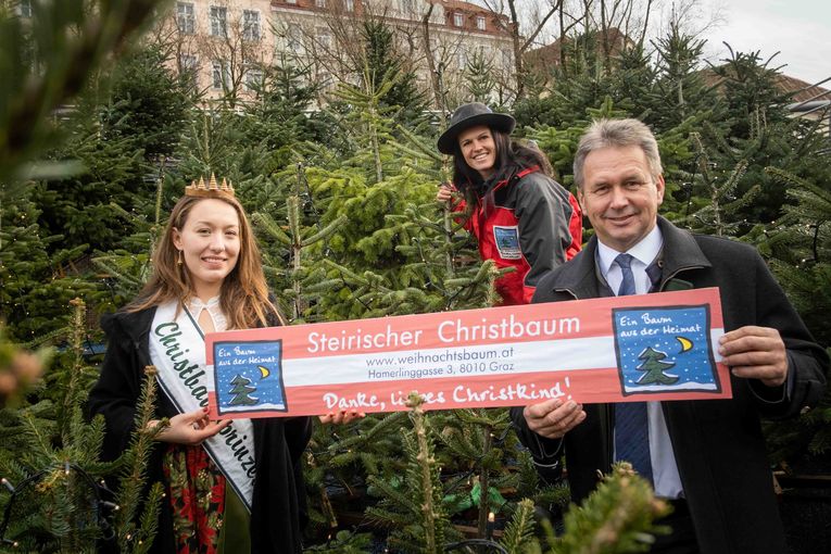 Pressekonferenz Christbäume