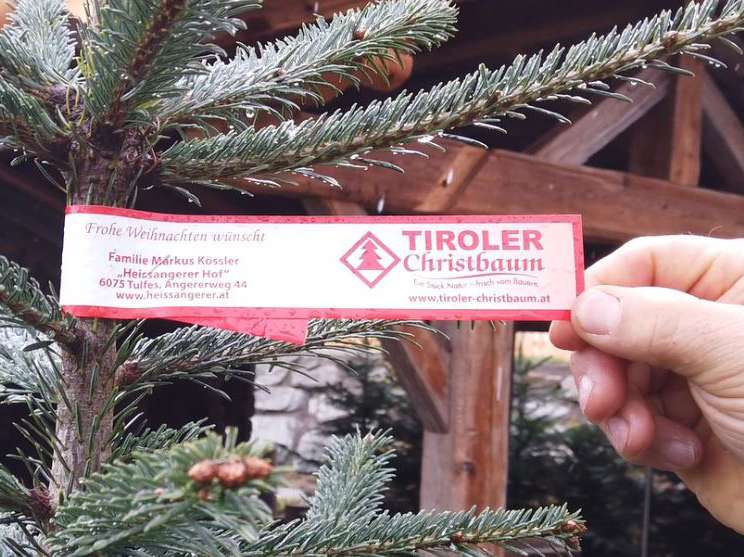 Pinke Schleife auf einem Tiroler Christbaum