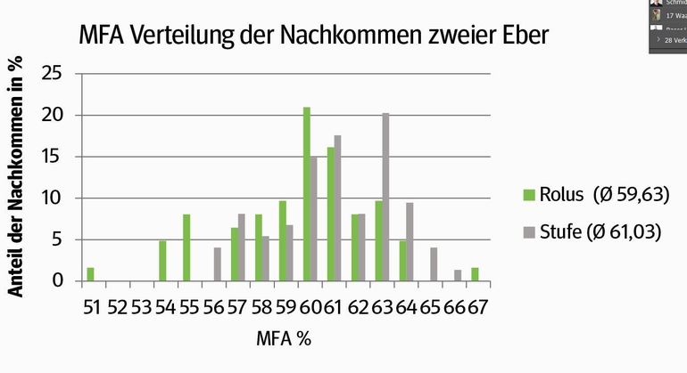 Muskelfleischanteil der Nachkommen zweier Eber.jpg © Archiv Muskelfleischanteil der Nachkommen zweier Eber.jpg © Archiv