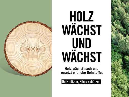 Holz wächst und wächst.jpg