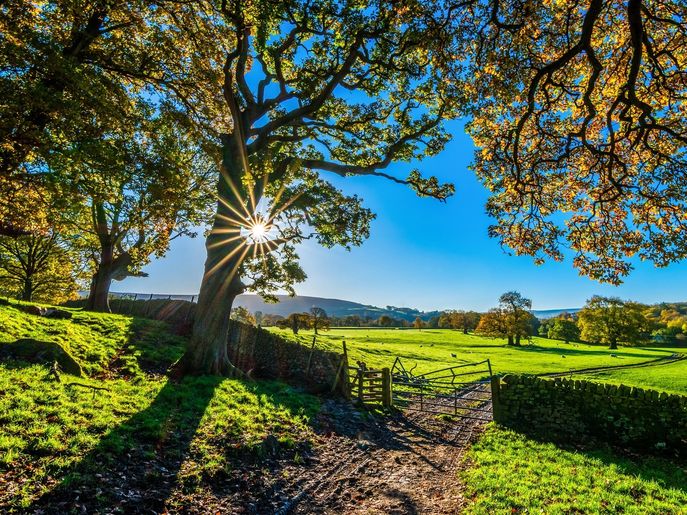Neue Wege in der Bio-Landwirtschaft © TimHill_Pixabay