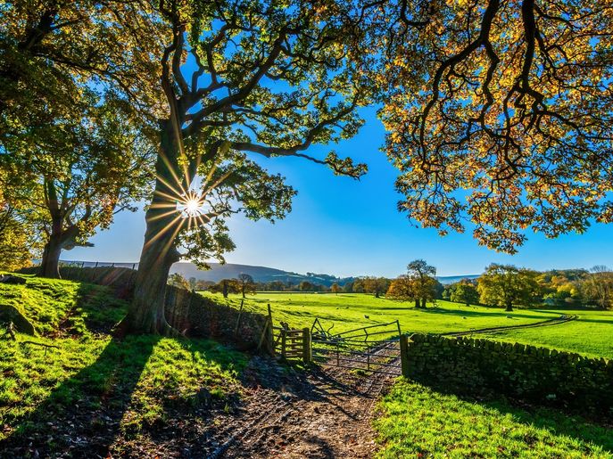 Neue Wege in der Bio-Landwirtschaft © TimHill_Pixabay