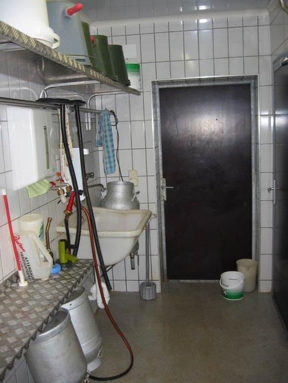 Was Kälber sich von ihrem Stall wünschen © Josef Rechberger/LK Niederösterreich Was Kälber sich von ihrem Stall wünschen © Josef Rechberger/LK Niederösterreich