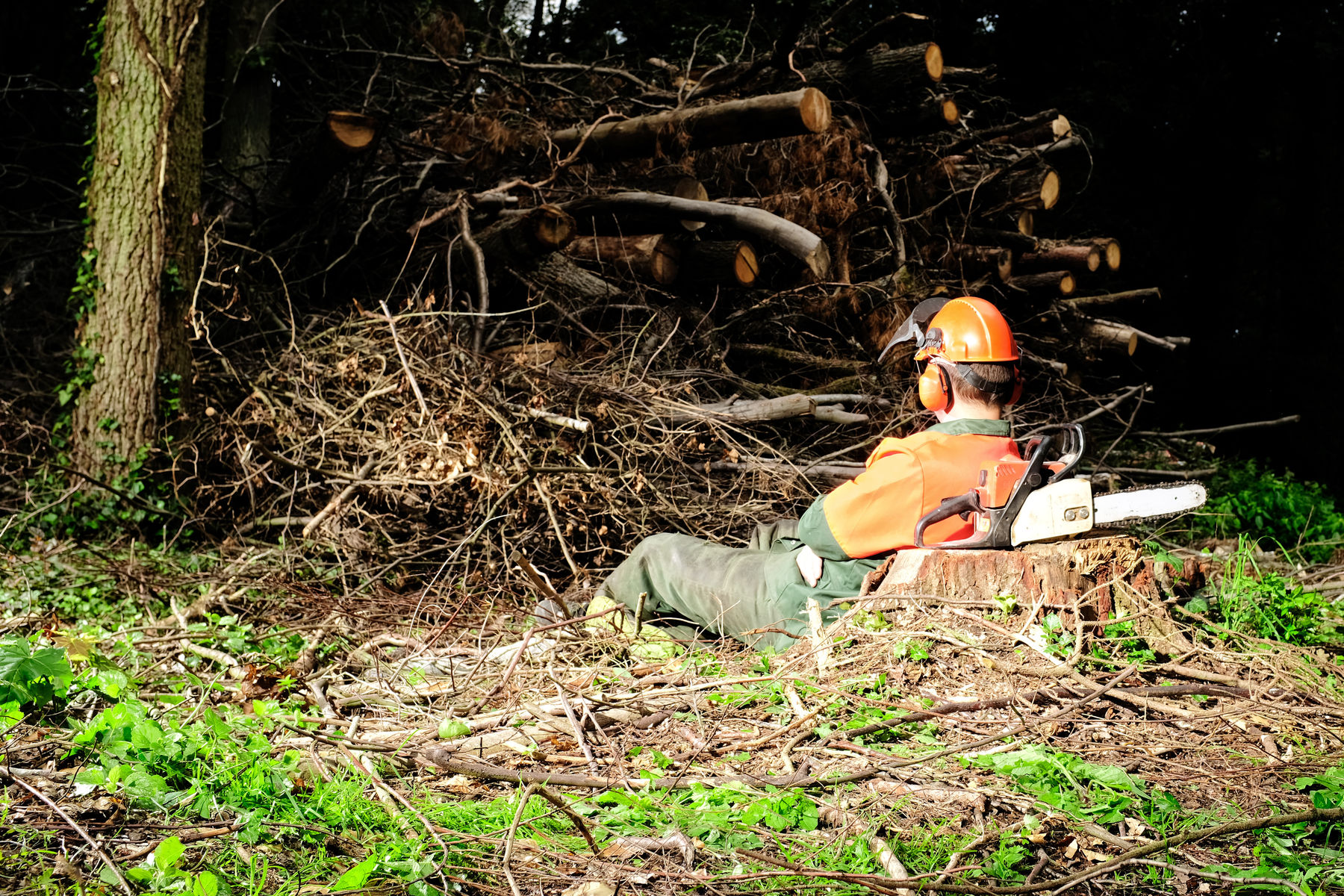 AdobeStock_214747833.jpg © AdobeStock AdobeStock_214747833.jpg © AdobeStock