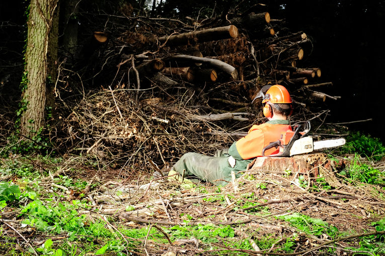 AdobeStock_214747833.jpg © AdobeStock AdobeStock_214747833.jpg © AdobeStock