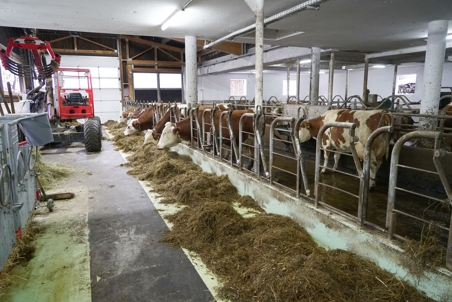 Man merkt, dass es den Tieren taugt – Vorderoberlehen in Werfenweng.jpg © Kronreif Man merkt, dass es den Tieren taugt – Vorderoberlehen in Werfenweng.jpg © Kronreif