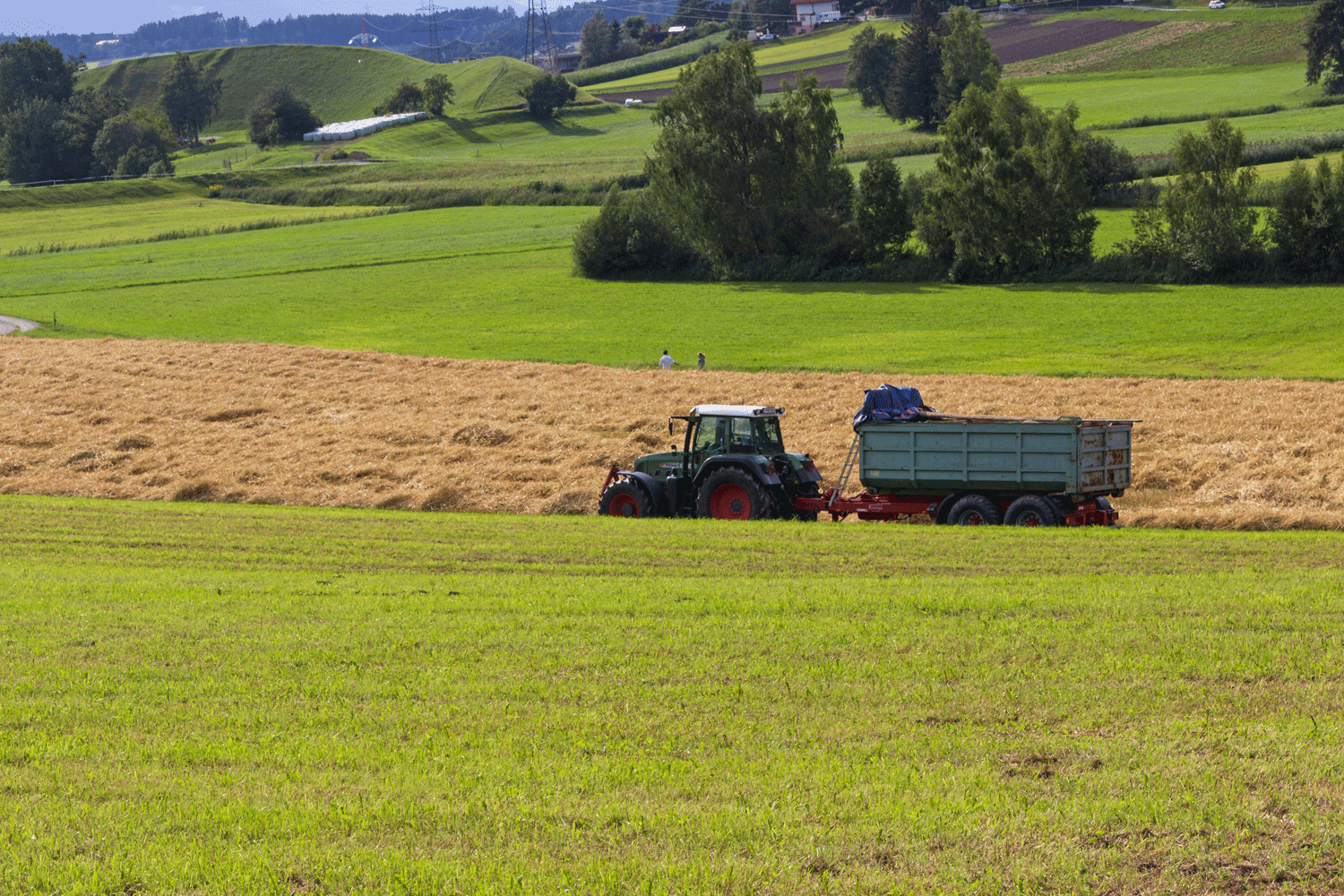 Felder Traktor Ernte © Michaela Kölle Felder Traktor Ernte © Michaela Kölle