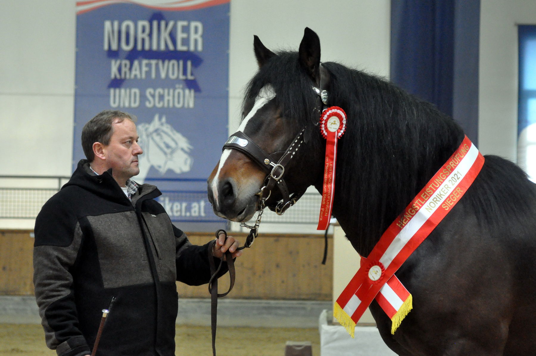 Norikerhengste: Weiße Fahne bei Leistungsprüfung.jpg © Bauer Norikerhengste: Weiße Fahne bei Leistungsprüfung.jpg © Bauer