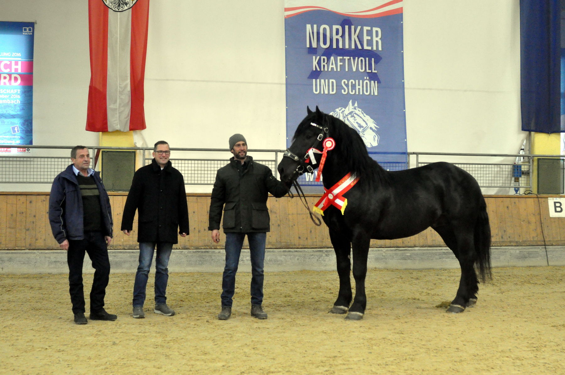 Norikerhengste: Weiße Fahne bei Leistungsprüfung.jpg © Bauer Norikerhengste: Weiße Fahne bei Leistungsprüfung.jpg © Bauer