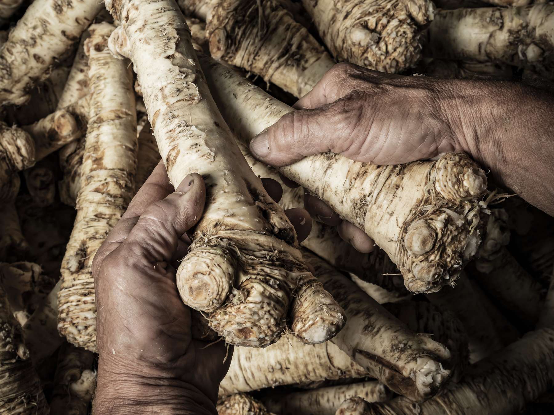 Krenstangen © LK/Krug Krenstangen © LK/Krug