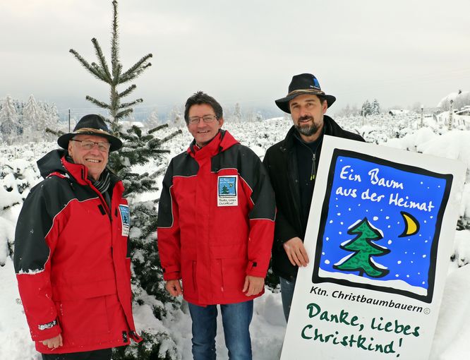 Christbaum 2021.jpg © LK Kärnten/Pesentheiner