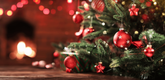 Pasko-Maksim-_AdobeStock_292946768 © Pasko Maksim – stock.adobe.com