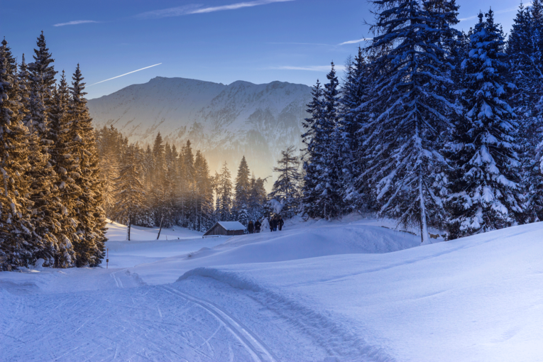 Wald-Winter(c)Michaela-Koelle-0736.png © Michaela Kölle Wald-Winter(c)Michaela-Koelle-0736.png © Michaela Kölle